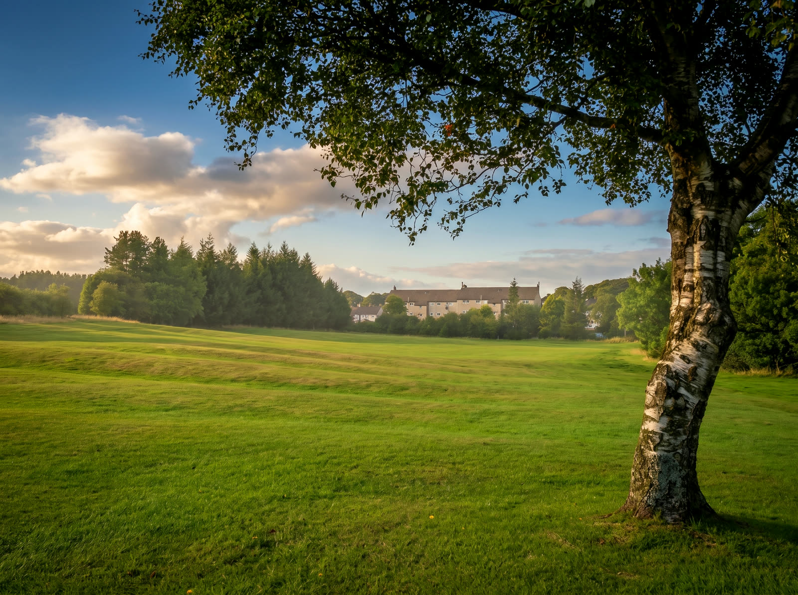 Junior membership